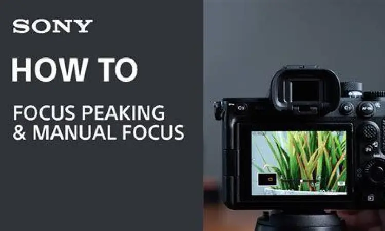 Fitur focus peaking untuk lensa manual